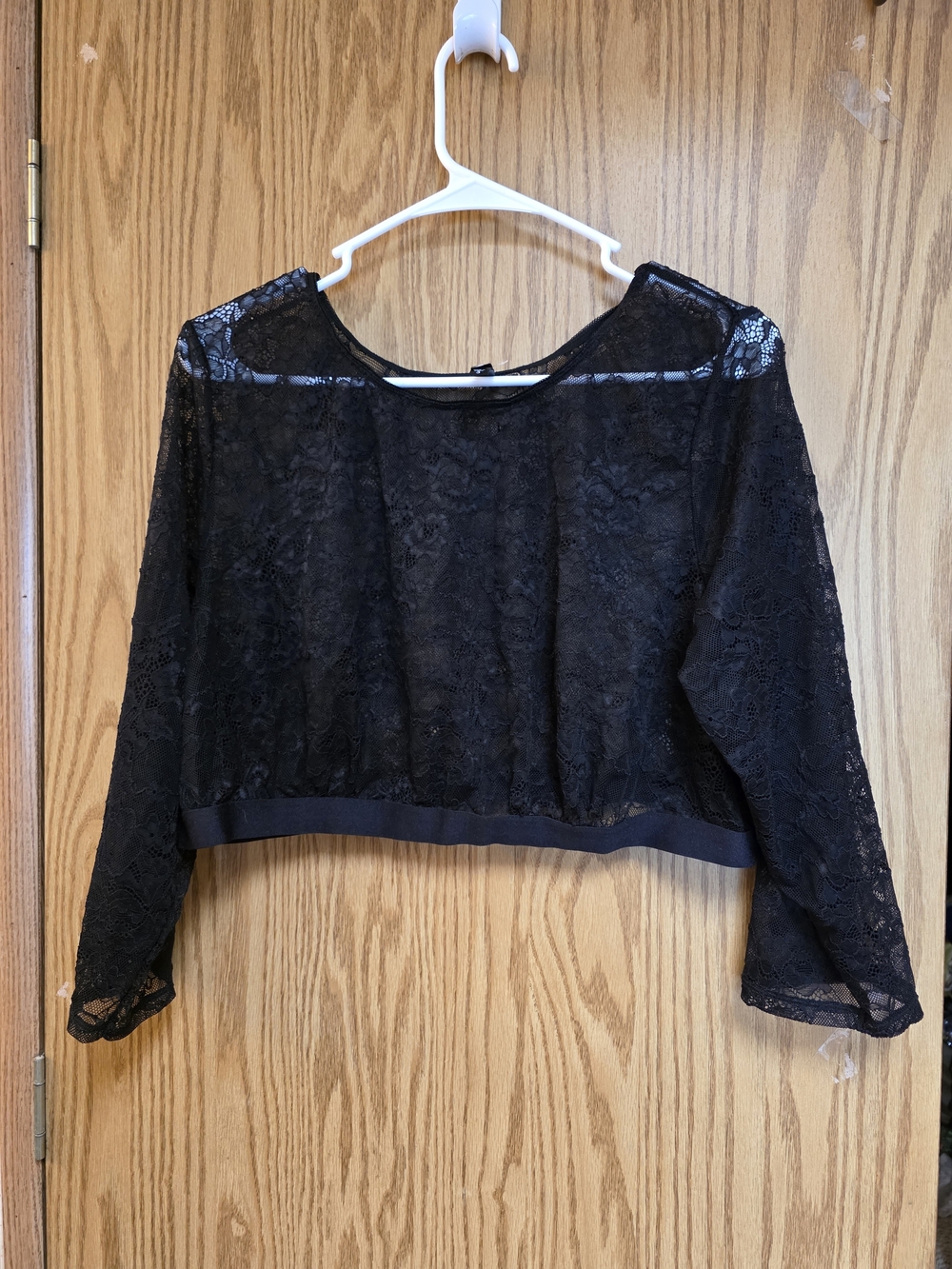 torrid Black Sheer Lace Cropped Long-Sleeve Top